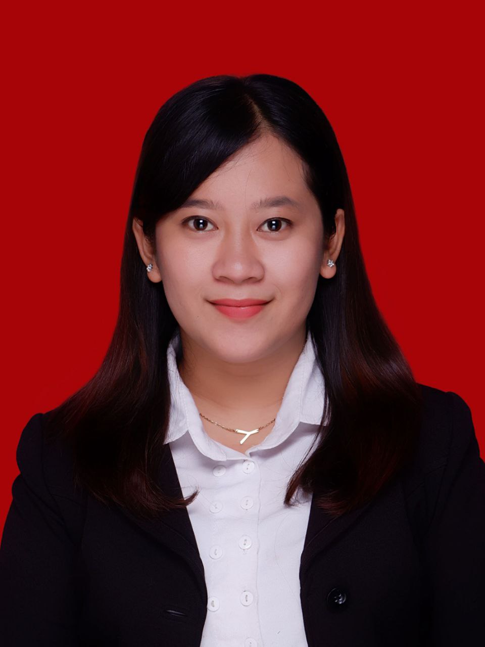Ini Wakil